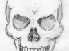 skull-sketch